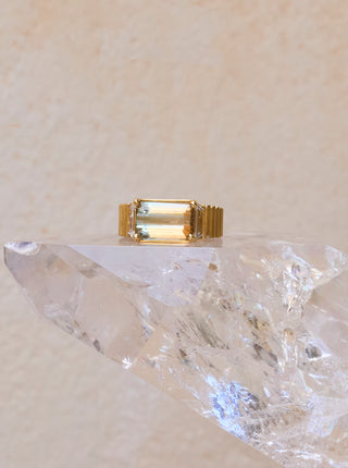 The Portal Ring with Watermelon Tourmaline