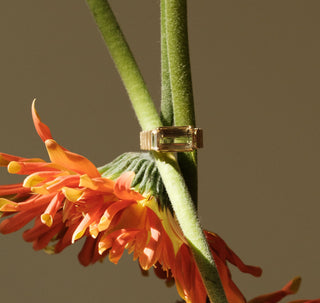 The Portal Ring with Watermelon Tourmaline